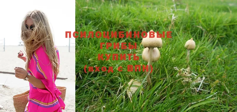 купить наркотики сайты  кракен маркетплейс  Псилоцибиновые грибы MAGIC MUSHROOMS  Чита 